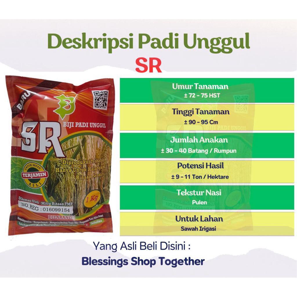 Padi Unggul Sr Super Genjah Terbaru / Biji Padi Unggul Sr