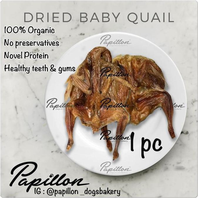 Sekalilagipromo Dried Baby Quail - Papillon Snack Anjing Kucing Burung Puyuh