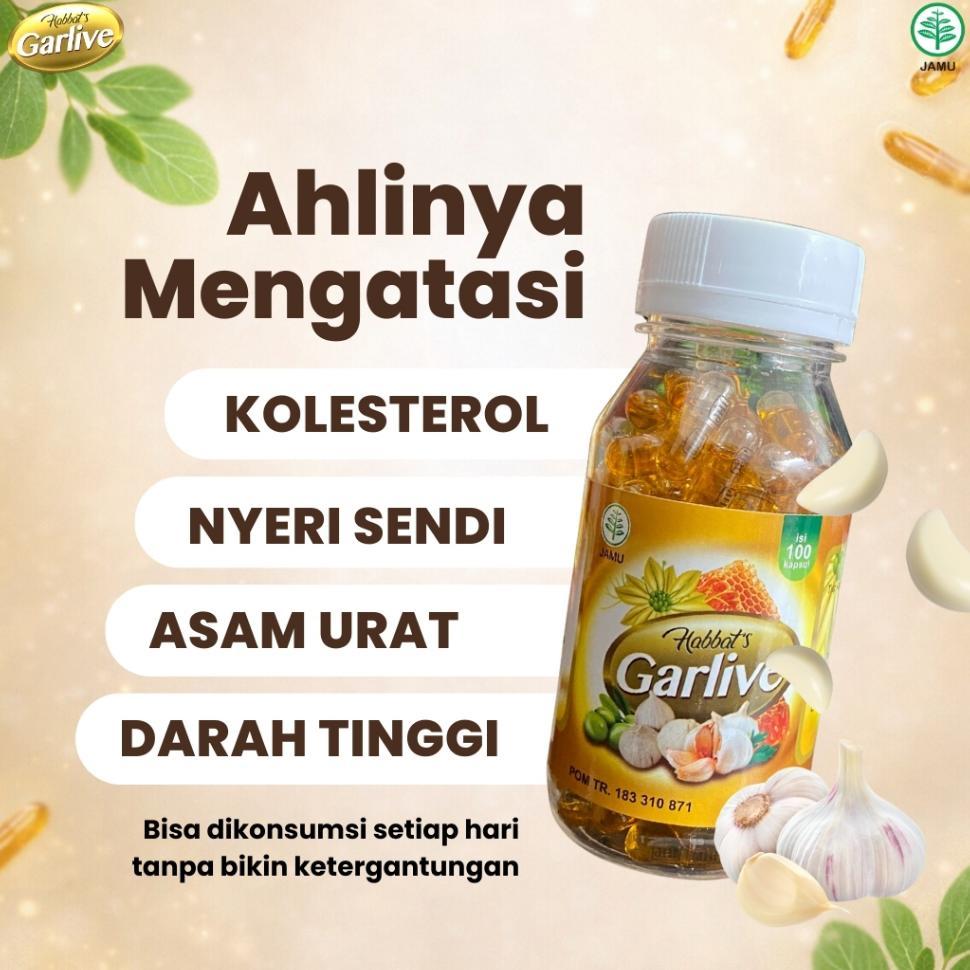 Obat Kolesterol Habbats Garlive Extra Bawang Lanang Habbatussauda Plus Propolis Dan Zaitun