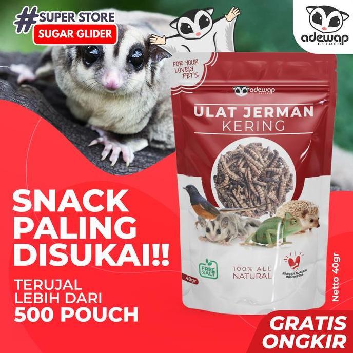 GROSIR Ulat Jerman Kering Sugar Glider - Reseller