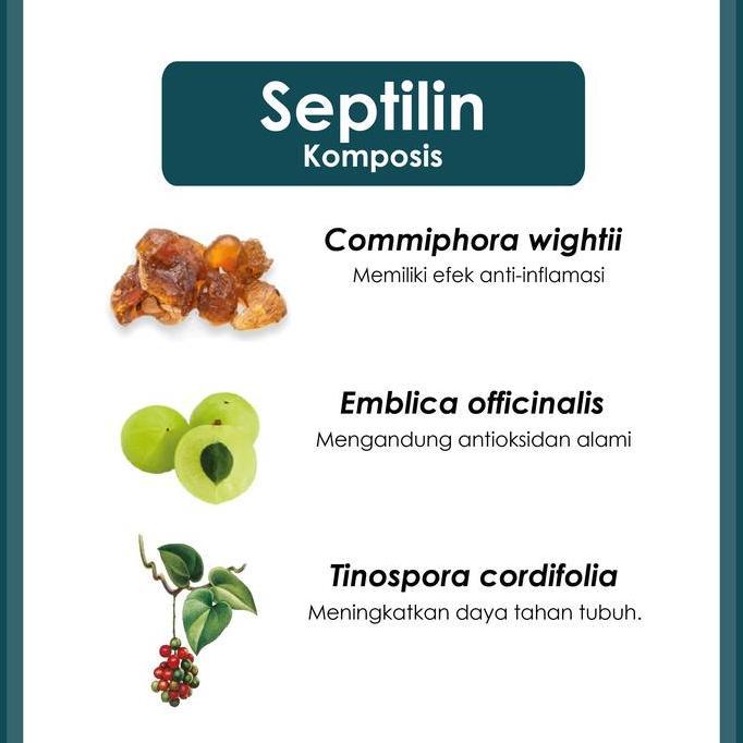 Higher- Himalaya Septilin 100 Tablet - Penguat Daya Tahan Tubuh