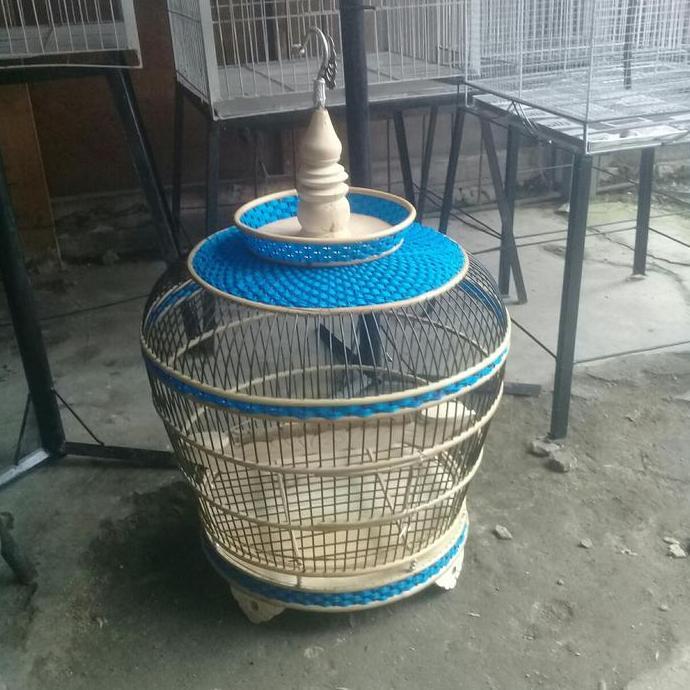 NEW TERLARISS SANGKAR BURUNG TEKUKUR PUTER ROTAN ORI