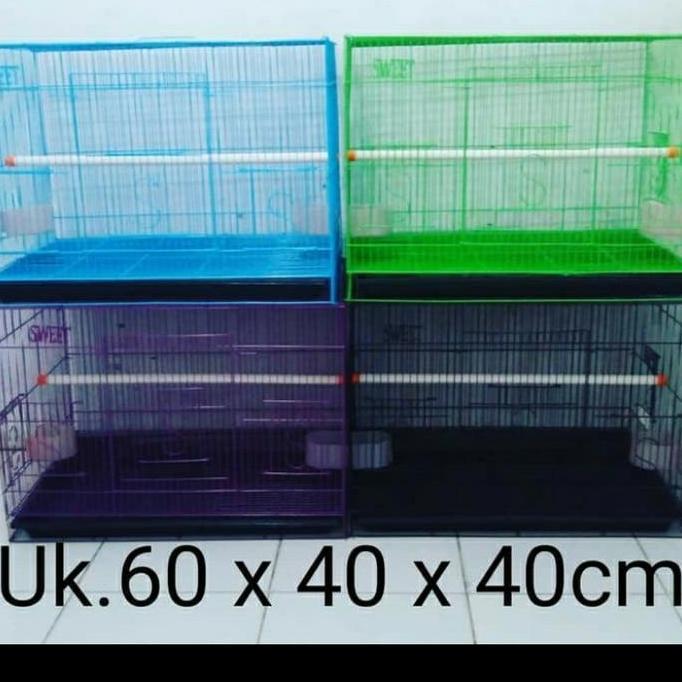 NEW SANGKAR UMBARAN BURUNG LOVEBIRD SWEET ORI