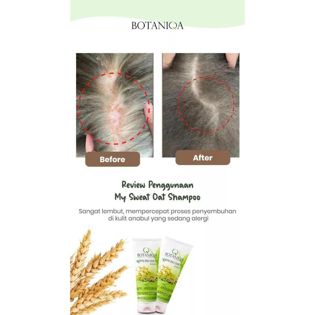 Aomi- Botaniqa Puppy My Sweet Oat Protein Shampoo 250Ml