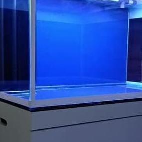 Fisch- Busa Ati 6Mm - Alas Akuarium - Tatakan Aquarium - Spon - Karet