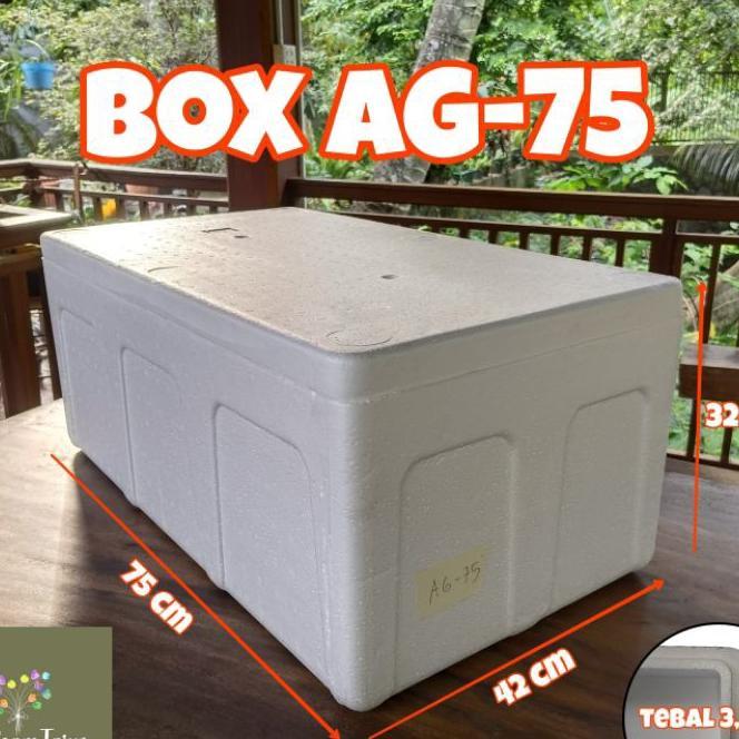 Styrofoam Box Ag75 Low 75 X 42 X 32 Cm