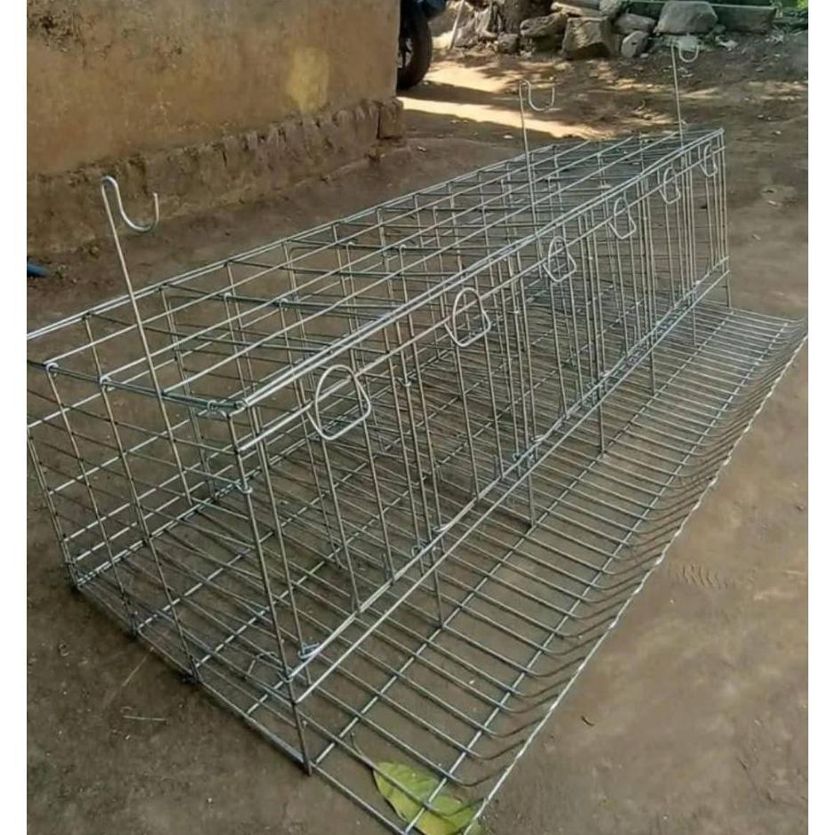 Kandang Galvanis Ayam Petelur Pintu 6 Isi 6