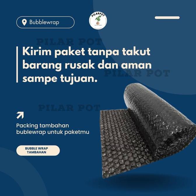 Noniwa- Benih Bibit Terong Ungu Panjang F1 Charming Known You Seed - Kys Terong Ungu Panjang F1 Char