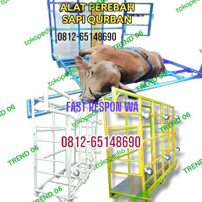 Bisa Cod - Alat Perebah Sapi Qurban Murah