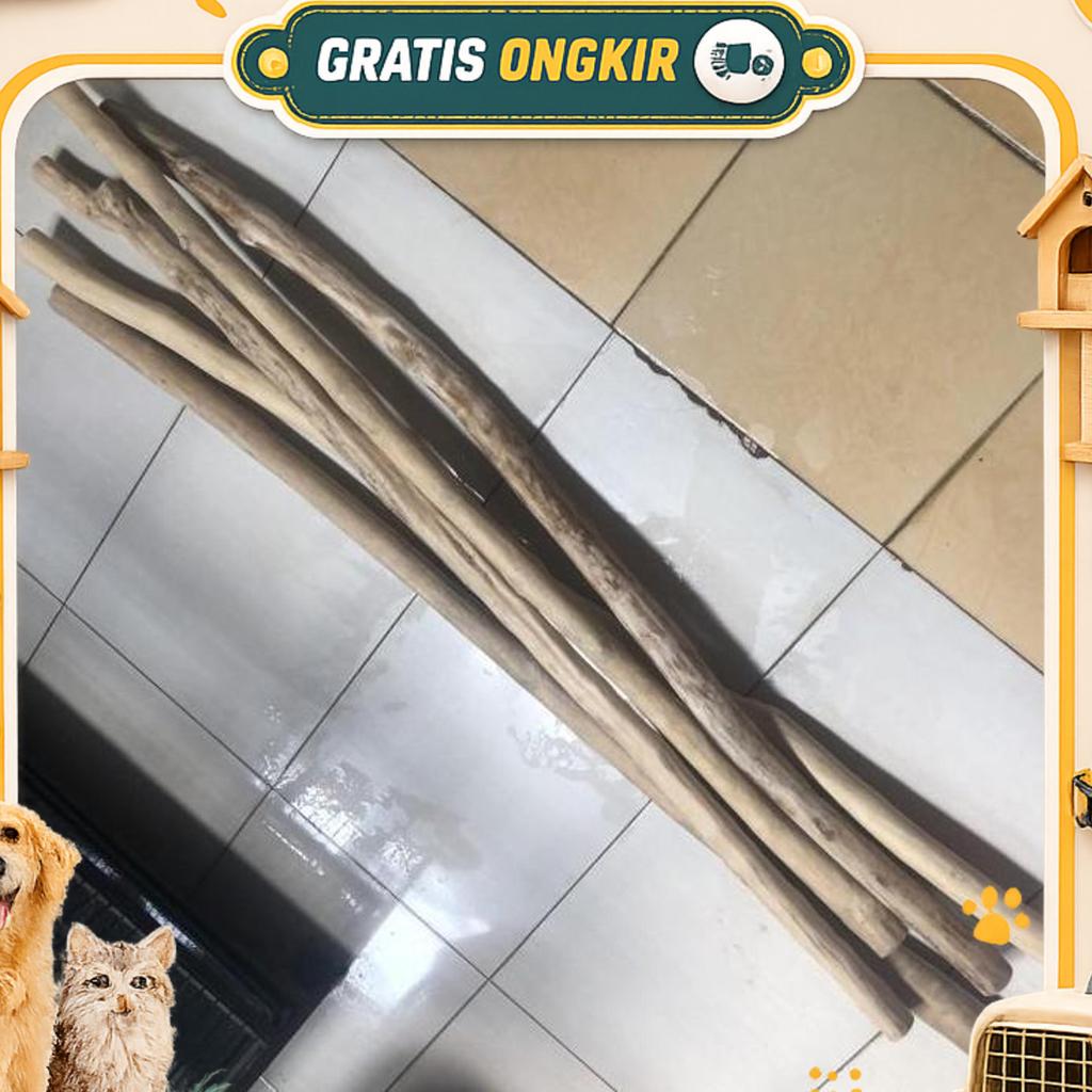 Kayu Kopi Tangkringan Burung Lurus Panjang