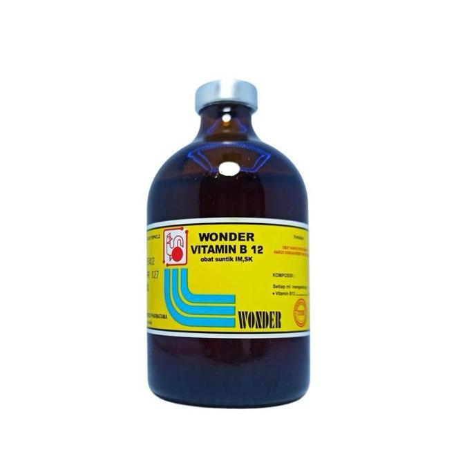 VITAMIN B12 100 ML (IM,SK)