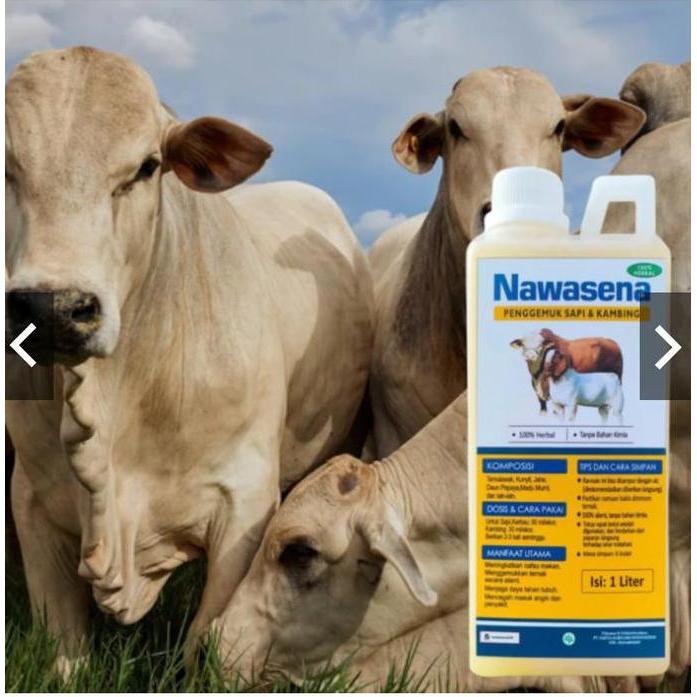 M2 Nawasena (1000ml) penggemuk Sapi & Kambing Cepat Nafsu Makan Naik, Bobot Cepat Bertambah, Herbal