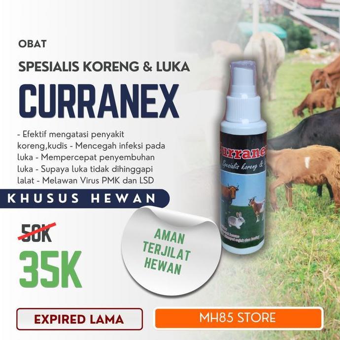 obat gudik kambing paling ampuh Curranex Spray