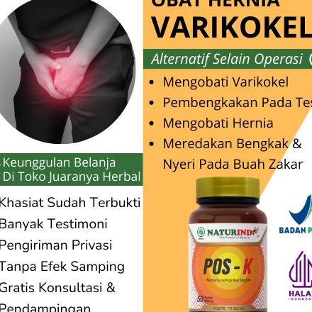 Obat Herbal Varikokel Hernia Pembengkakan Buah Zakar Bengkak Mandul Nyeri Testis Paling Ampuh Dewasa