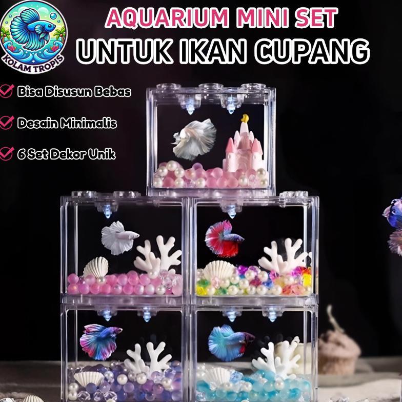 Aquarium Set Lengkap Ikan Cupang Aquarium Cupang Estetik Aquarium Akrilik Aquascape Mini Siap Pakai