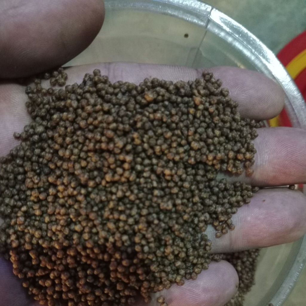 Pakan Ikan/pelet  Hi-Provite 781-1 repack 250 .500.1000 gr