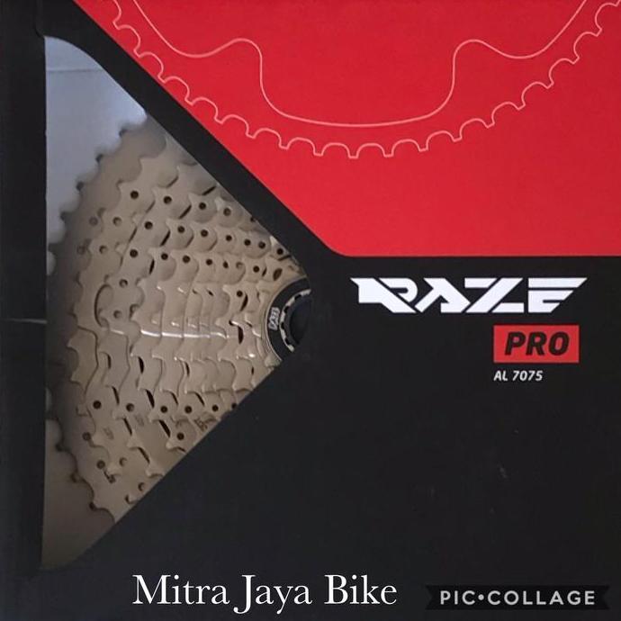 Sprocket Cassette Raze Pro 12 Speed 11-52T