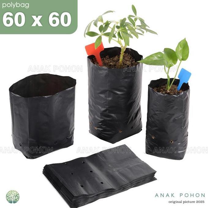 Polybag Polibag Plastik Ukuran 60 x 60 cm - Kualitas Premium Tebal murah