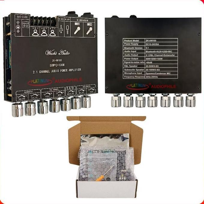 TPA3116 Amplifier Karaoke Echo Microphone Bluetooth TWS 2.1 CH Original ZK-AM100 AM100F
