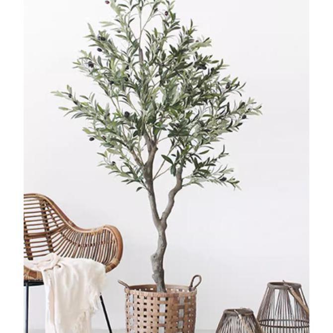 Lydiaowbear - Olive Tree Faux Artificial Plant