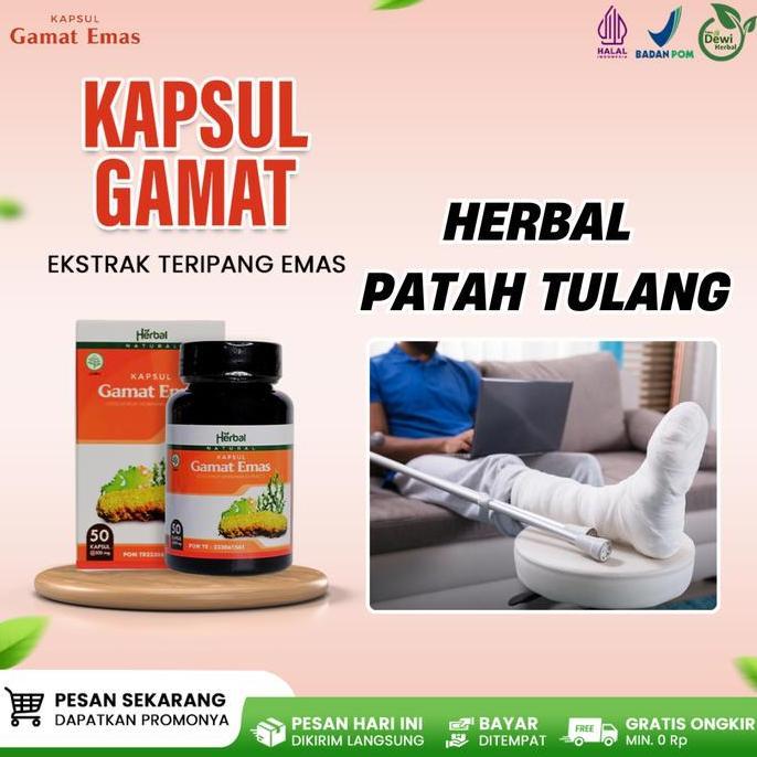 Kapsul Gamat Emas - Obat Nyeri Patah Tulang, Flu Tulang, Tulang Bergeser Dan Remuk, Cedera - Isi 50 