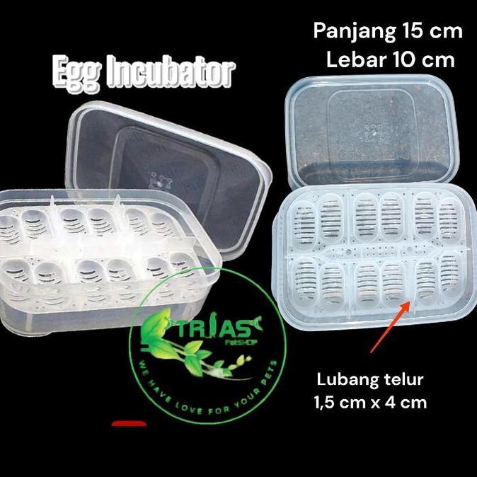 aisyahbilee -, egg incubator reptil tempat incubasi telur reptil gecko bearded dragon corn snake dll