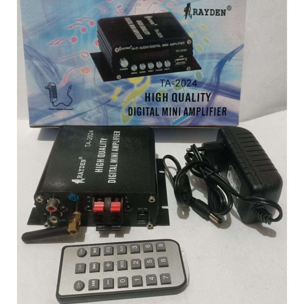 rayden TA-2024 USB ,TF ,bluetooth with remote control high quality digital mini amplifier