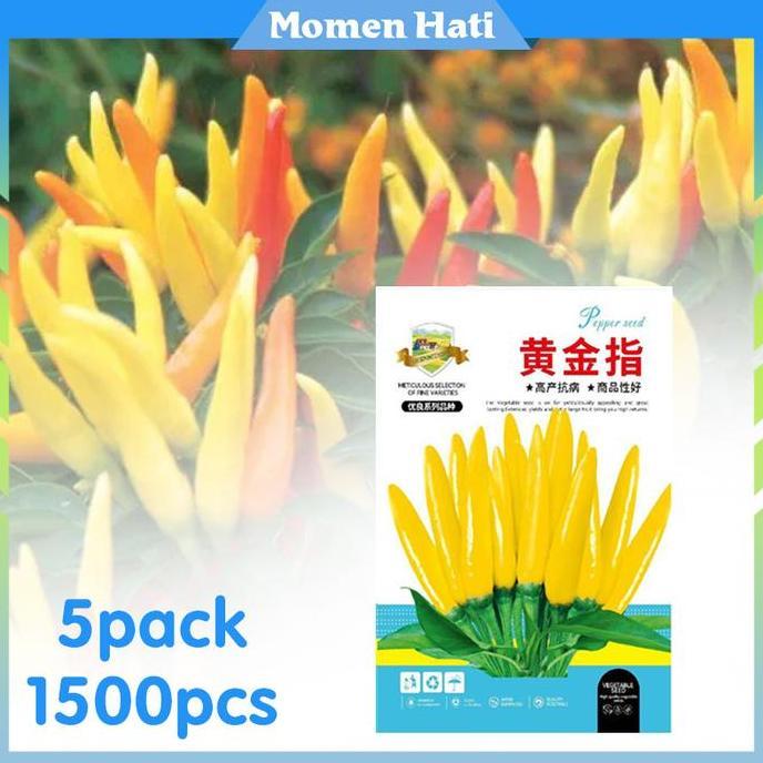 ECHINACEA Lada Chaotian Bibit Benih Cabai 5Pack / Pematangan Cepat Dan Pertumbuhan Yang Kuat