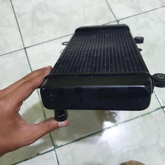 Radiator Motor Kawasaki Ninja 250 Fi Karbu Z250 Versys 250 | Copotan