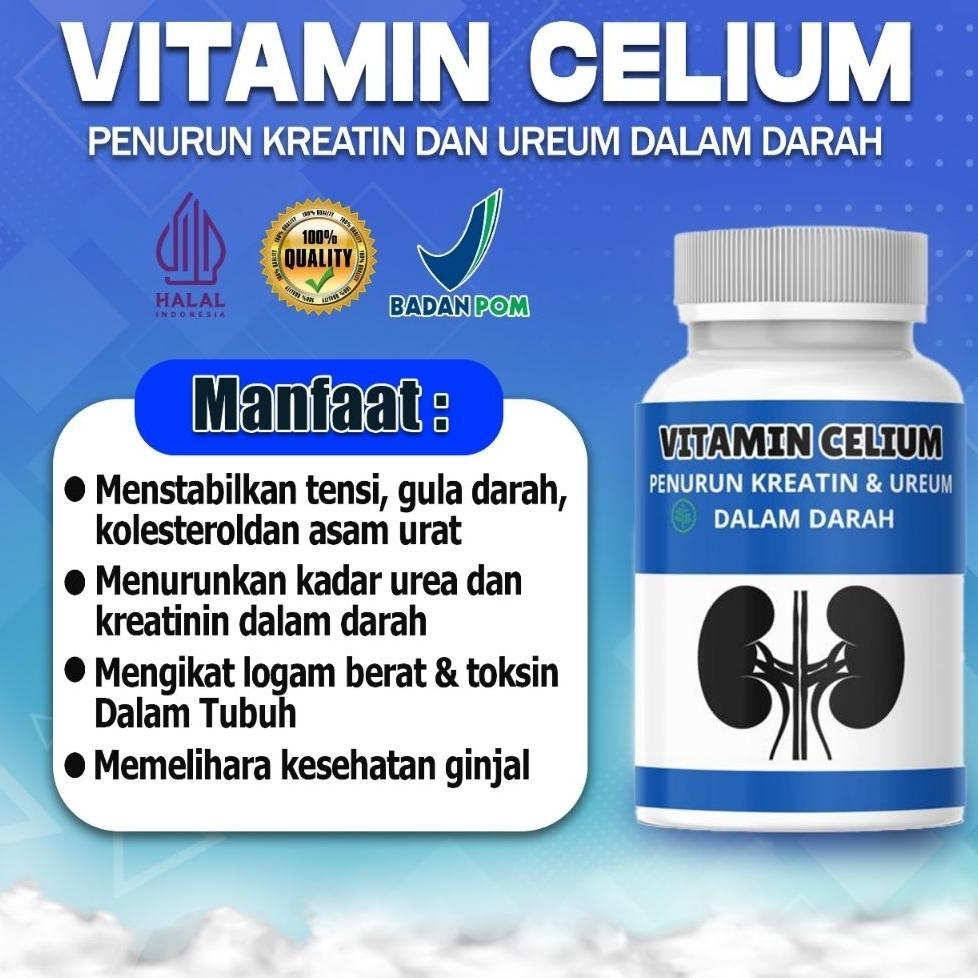 Vitamin Celium Herbal Halal Membantu Menutrisi Ginjal Menurunkan Kreatin & Urea Dalam Darah Suplemen