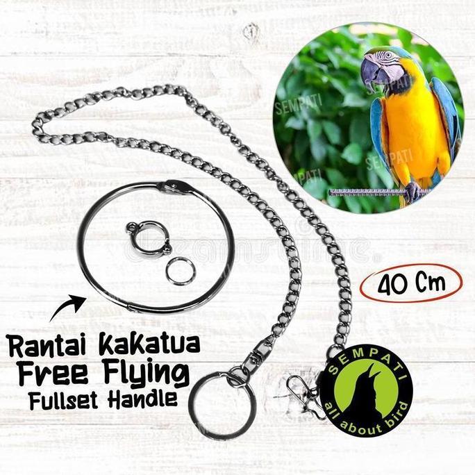 Rantai Free Flying 12 Mm Aksesoris Ring Rantai Umbaran Latih Kaki Burung Kakatua Cockatoo Bayan Afri