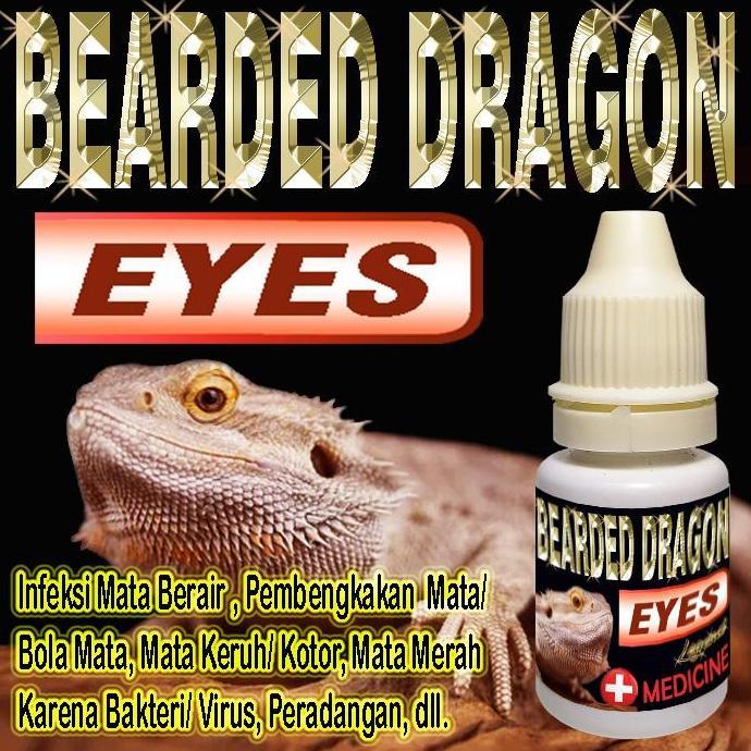 BEARDED DRAGON EYES OBAT TETES MATA REPTILE INFEKSI BERAIR MERAH BENGKAK BERSELAPUT TERTUTUP KATARAK