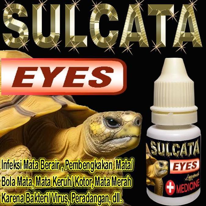 SULCATA EYES OBAT TETES MATA CENTROCHELYS SULKATA TORTOISE REPTILE KURA-KURA DARAT MENGOBATI MATA KU