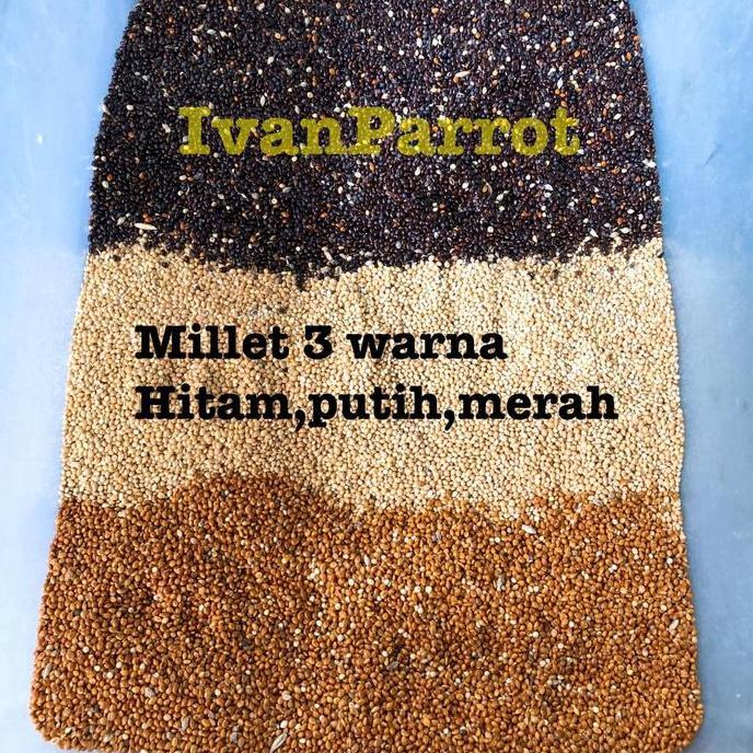 Millet 3 Warna Millet Merah Hitam Putih 1Kg Pakan Burung