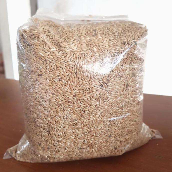 Canary Seed / Kenari Seed Kiloan