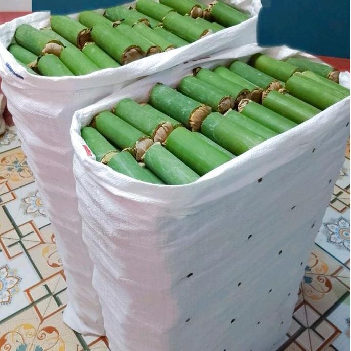 Ulat Bambu/Cangcilung Umpan Mancing Isi 60 Ekor