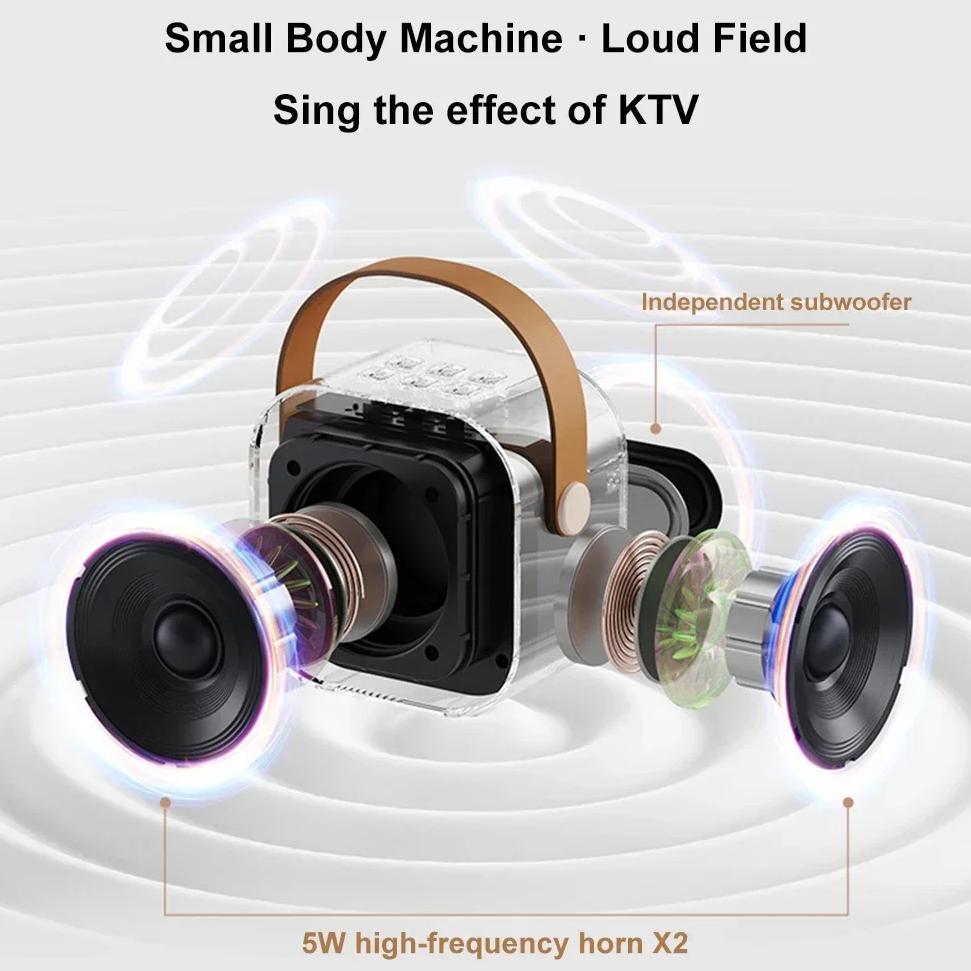 big promo speaker bluetooth karaoke wireless microphone 2pcs/set high end karaoke speaker rgb light 