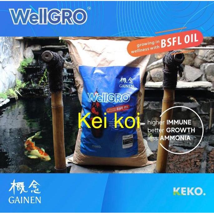 Afterday- Wellgro 15 Kg Size L Floating Makanan Ikan Koi