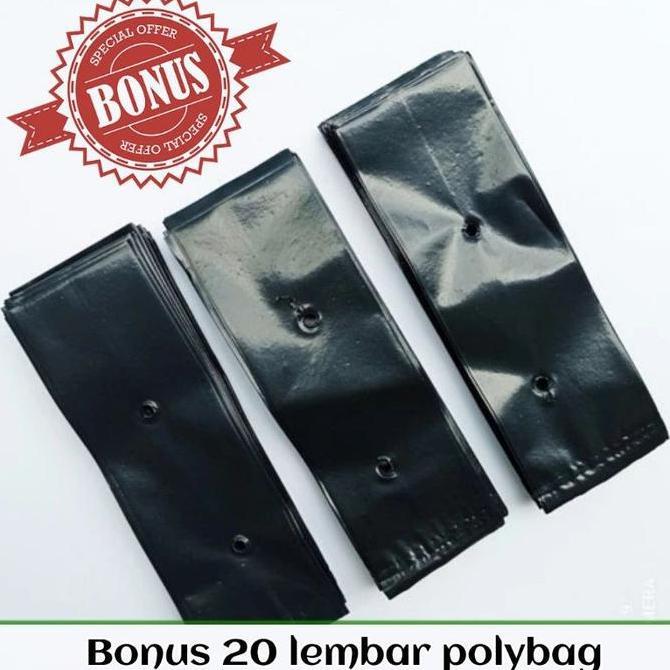 Bibit Sayuran Benih Paket Lengkap - Bibit Biji Sayuran