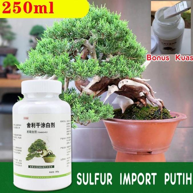lime sulfur bonsai best premium culity warna putih 250