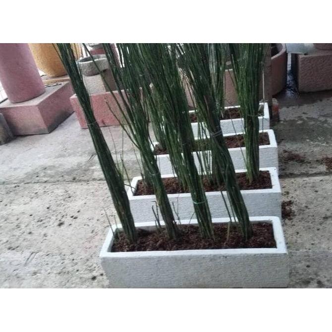 Pot Kotak Panjang Dan Bambu Ruas