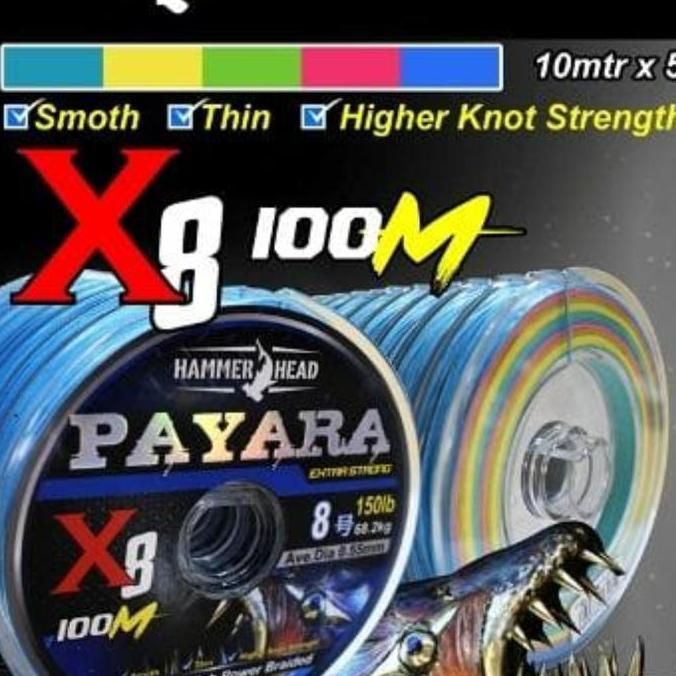 senar pancing pe hammerhead payara pilihan pe 1 1.5 2.0 2.5