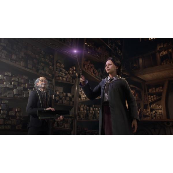 Hogwarts Legacy - Pc Game