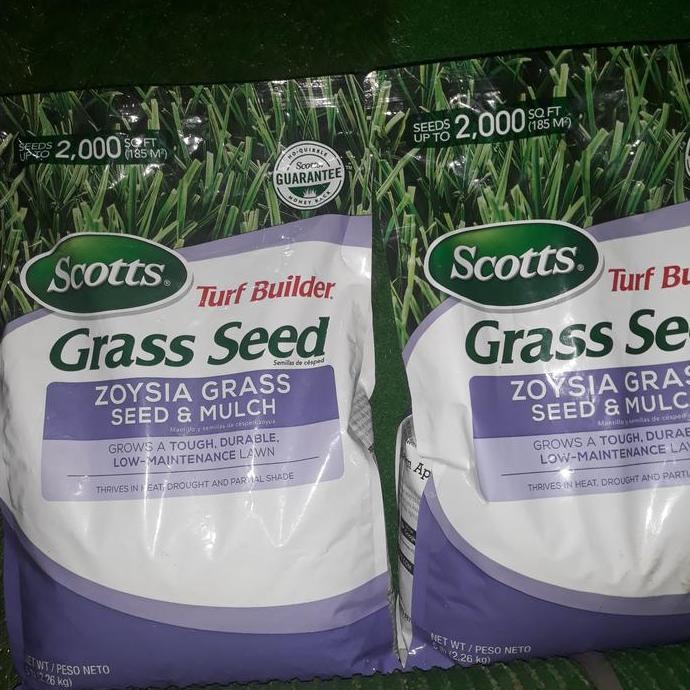 zoysia grass seed