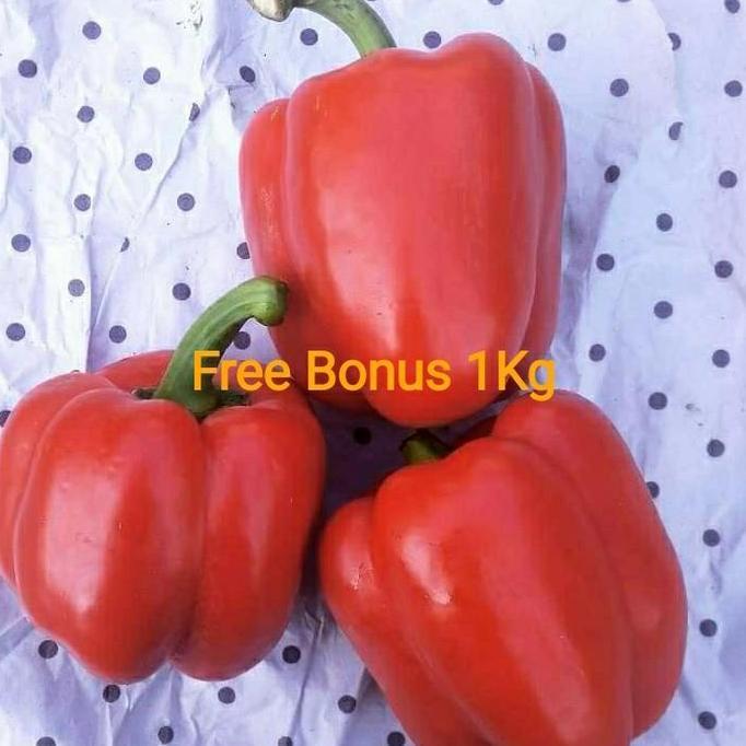 Newnature- Paprika Merah 1 Kg + Gratis Bonus