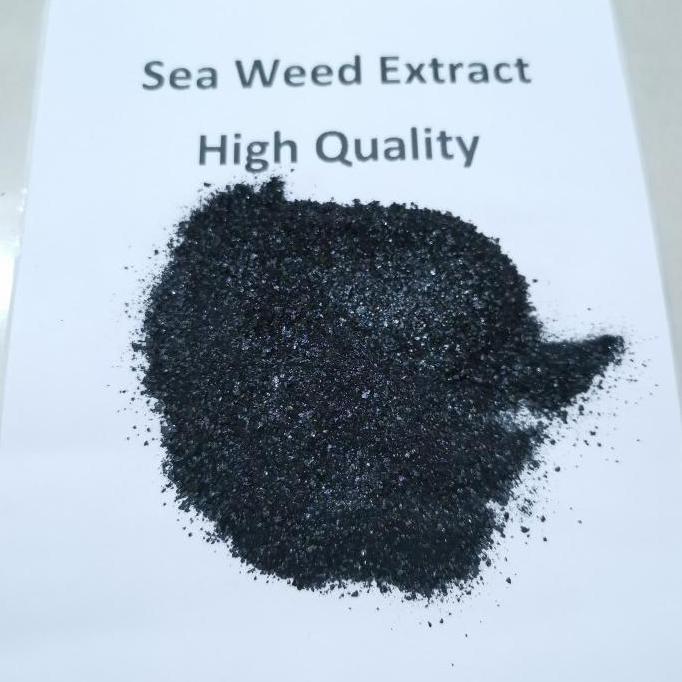 Garden- Pupuk Seaweed Extract Organik ( 500 Gram )