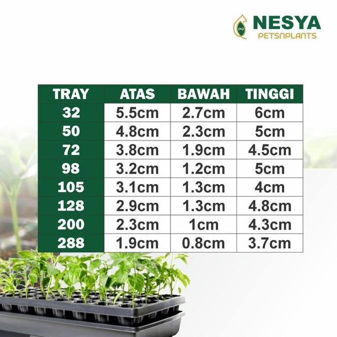 Pirc- Paket Tray Semai Potray Pot Semai Dan Alas Tray 32 50 72 98 105 128 162 200 288 Lubang