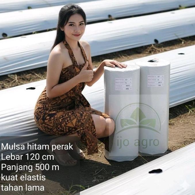 plastik mulsa murah hitam perak 1 roll lebar 1,2 m panjang 500 m