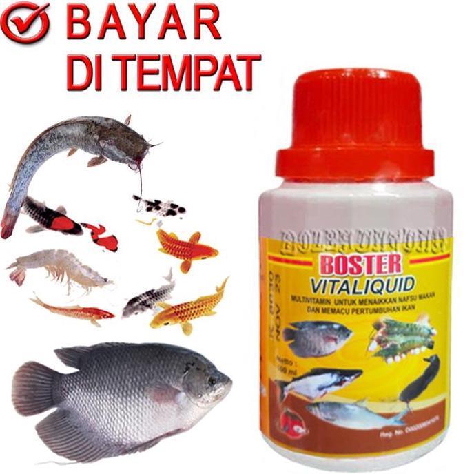 VITALIQUID BOSTER IKAN LELE PETIN GURAME NILA KOI LOBSTER VITAMIN PENGGEMUK