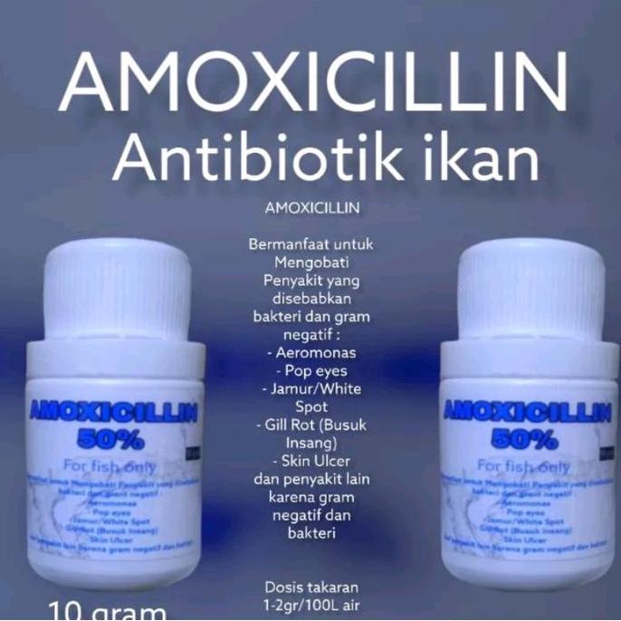 AMOXILIN OBAT ANTIBIOTIK IKAN